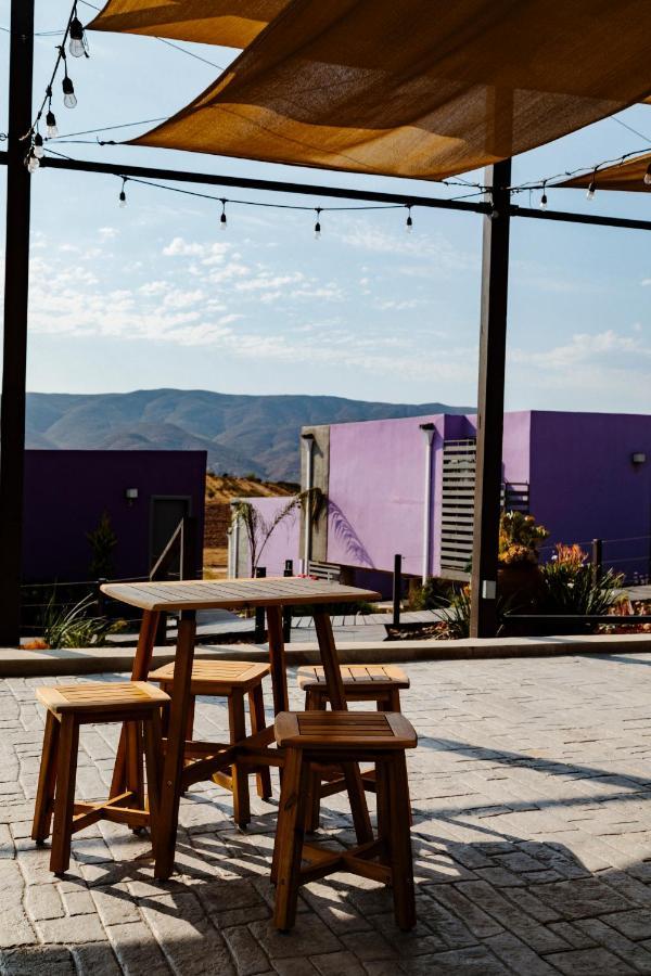 Flor De Cera Villa Valle de Guadalupe Ngoại thất bức ảnh