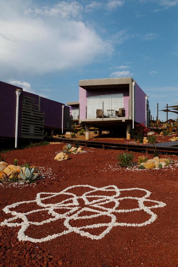 Flor De Cera Villa Valle de Guadalupe Ngoại thất bức ảnh